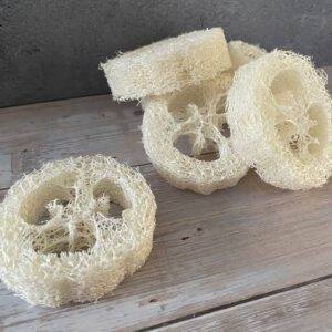 Luffa-Scheibe